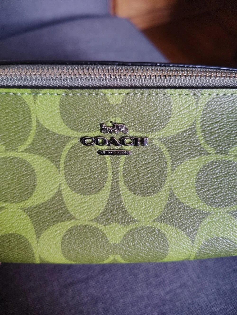Green Coach Signature C Makeup Brush Holder
